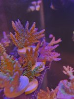 20260502_174400.jpg