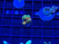IMG_0783.jpeg