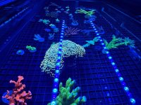 IMG_0789.jpeg