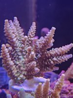 20260503_110356.jpg