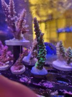 20260503_110255.jpg