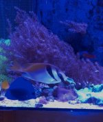 IMG_5040.jpeg