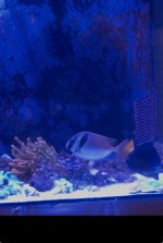IMG_5039.jpeg