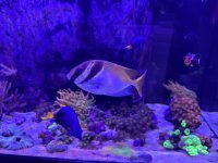 IMG_5057.jpeg
