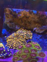 IMG_1852.jpeg