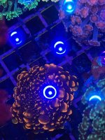 IMG_1759.jpeg