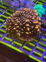 IMG_1760.jpeg