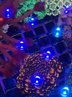 IMG_1758.jpeg