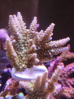 20260505_153412.jpg