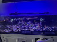 IMG_6130.jpeg
