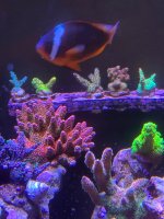 IMG_1691.jpeg
