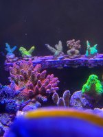 IMG_1693.jpeg