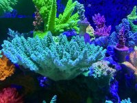 IMG_3986.jpeg