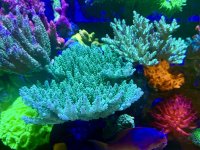 IMG_3984.jpeg
