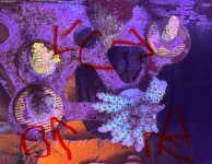 IMG_2823.jpeg