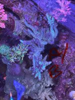 IMG_2819.jpeg