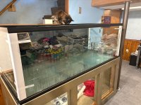 IMG_9150.jpeg
