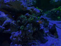 IMG_9722.jpeg