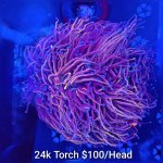 GridArt_20260511_231434943.jpg