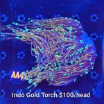 GridArt_20260511_233555264.jpg