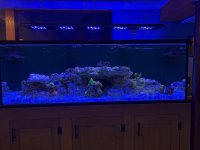 AquaCam_ED479B18.jpeg