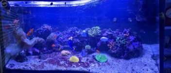 IMG_4030.jpeg