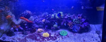 IMG_4029.jpeg