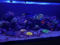 IMG_4028.jpeg