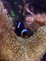 IMG_4026.jpeg
