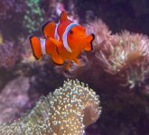 IMG_4024.jpeg
