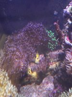 IMG_4023.jpeg