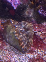 IMG_4022.jpeg