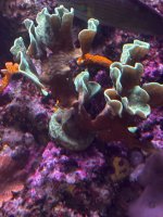 IMG_4021.jpeg