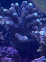 IMG_4019.jpeg