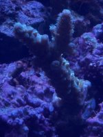 IMG_4018.jpeg