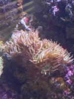 IMG_4017.jpeg