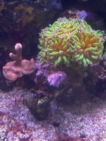 IMG_4016.jpeg