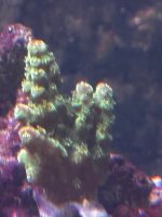 IMG_4014.jpeg