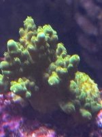 IMG_4013.jpeg