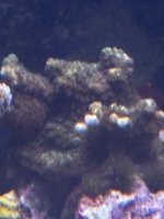 IMG_4012.jpeg