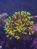 IMG_4011.jpeg