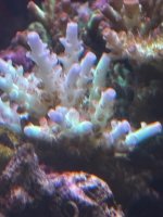 IMG_4009.jpeg