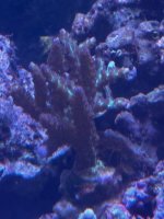 IMG_4008.jpeg