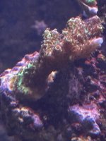 IMG_4007.jpeg