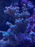 IMG_4006.jpeg