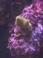 IMG_4005.jpeg