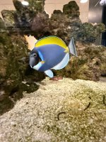 IMG_2144.jpeg
