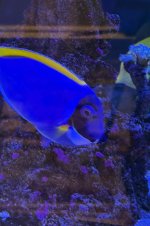 IMG_2116.jpeg