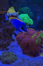 IMG_2117.jpeg