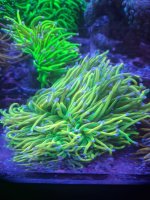 20260505_075858.jpg